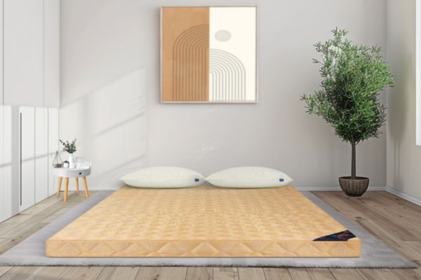 Nệm bông ép Mliving Liên Á