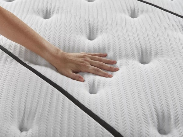 Giới thiệu chung