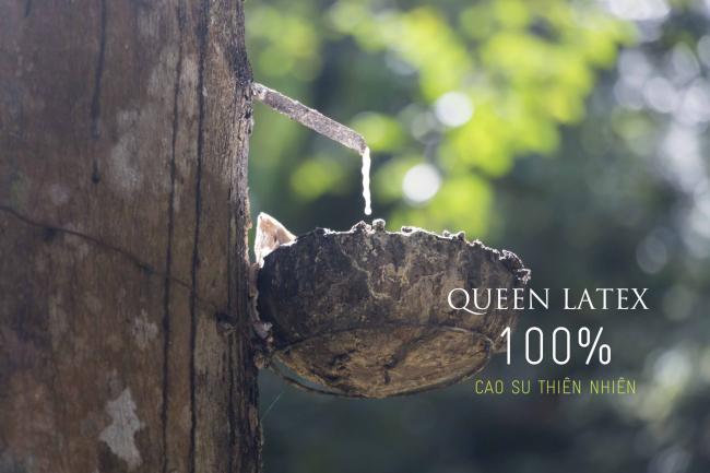 Bảng Giá Và Chương Trình Khuyến Mãi Nệm Vạn Thành