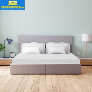 NỆM CAO SU THIÊN NHIÊN LIÊN Á - L'ADOME | MUA ONLINE GIẢM GIÁ LỚN