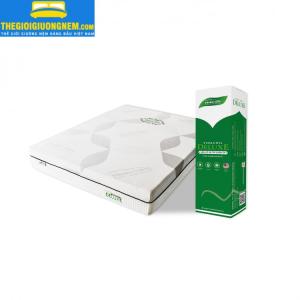 Nệm Lò Xo Túi Cuộn Ép Tiêu Chuẩn Hoa Kỳ Vinacoil Deluxe 160x200x25cm