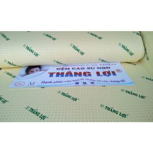 NỆM CAO SU NON THẮNG LỢI - KHUYẾN MÃI GIẢM GIÁ 55% + QUÀ