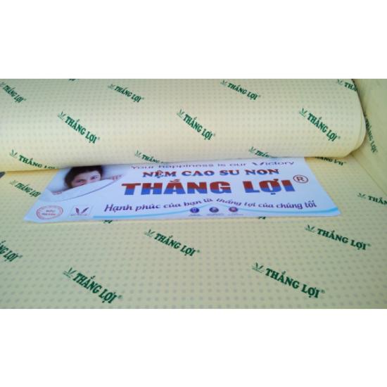 NỆM CAO SU NON THẮNG LỢI | KHUYẾN MÃI GIẢM GIÁ 50% + QUÀ