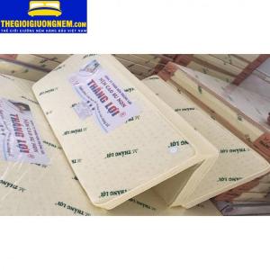 NỆM CAO SU NON THẮNG LỢI GẤP 3 - KHUYẾN MÃI GIẢM 55% + QUÀ