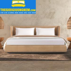 NỆM CAO SU THIÊN NHIÊN LIÊN Á CLASSIC - MUA ONLINE GIẢM GIÁ SỐC