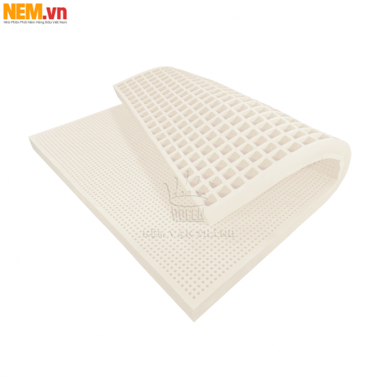 NỆM CAO SU THIÊN NHIÊN VẠN THÀNH KHUYẾN MÃI LỚN TẠI THEGIOINEM.VN