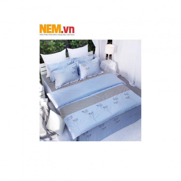Bộ Drap Edena - Ed359 | Đặt Hàng Online Giảm Ngay 15%, Kèm Quà Tặng