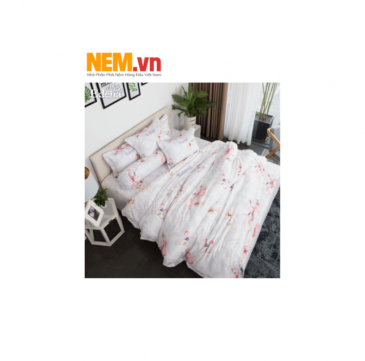 Bộ Drap Edena - Ed446 | Đặt Hàng Online Giảm Ngay 15%, Kèm Quà Tặng