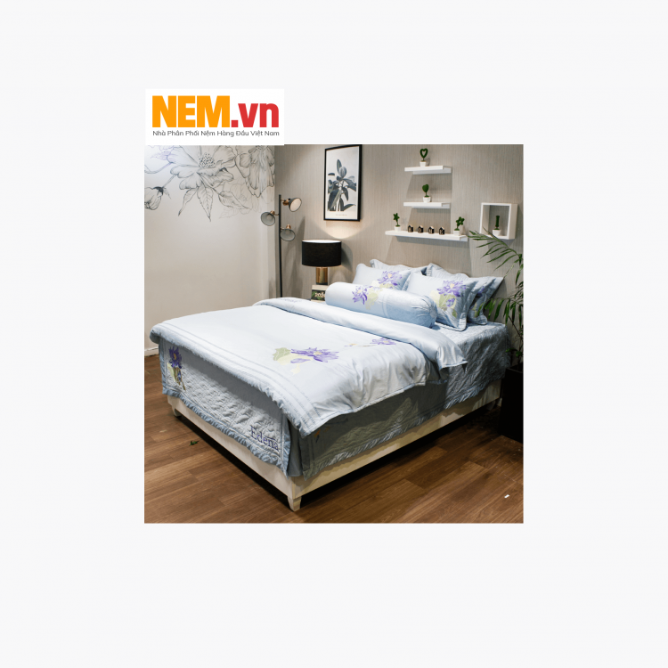 Bộ Drap Edena - Ed524 | Đặt Hàng Online Giảm Ngay 15%, Kèm Quà Tặng