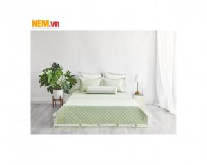 Bộ Drap Everon ESM21011 | Đặt Hàng Online Giảm Ngay 15%, Kèm Quà Tặng