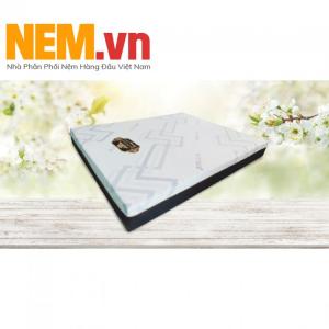 NỆM KIM CƯƠNG FOAM - EUFOAM | KHUYẾN MÃI GIẢM GIÁ LỚN, QUÀ TẶNG