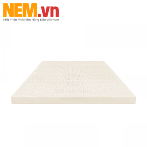 NỆM CAO SU VẠN THÀNH SEGOVIA | CẤU TRÚC MÁI VÒM THÔNG MINH