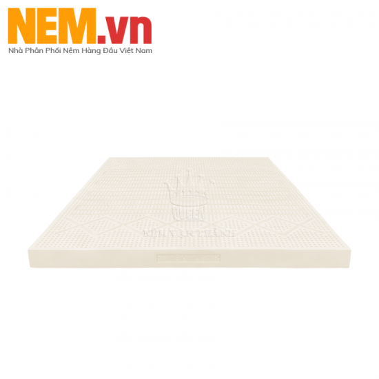 NỆM CAO SU VẠN THÀNH SEGOVIA | MUA ONLINE GIẢM 23% + QUÀ TẶNG