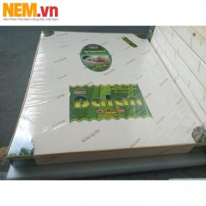 NỆM DẺO CAO CẤP BALAN ( CAO SU NON ) | KHUYẾN MÃI GIẢM GIÁ 40%