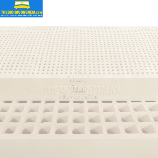 NỆM CAO SU THIÊN NHIÊN STANDARD - VẠN THÀNH | KHUYẾN MÃI KHỦNG