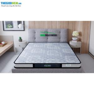 NỆM FOAM ÉP THẲNG CAO CẤP VINAMATTRESS - VINAFOAM MIXED PACIFIC